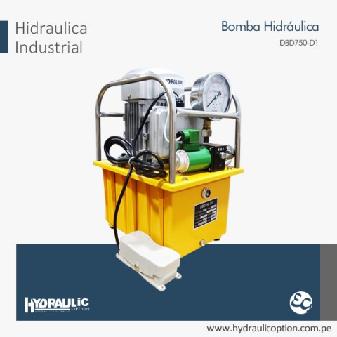 BOMBA HIDRAULICA dbd750-d1 - Hydraulic Option