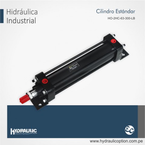 CILINDRO-ESTANDAR-HO-2HC-63-300-LB