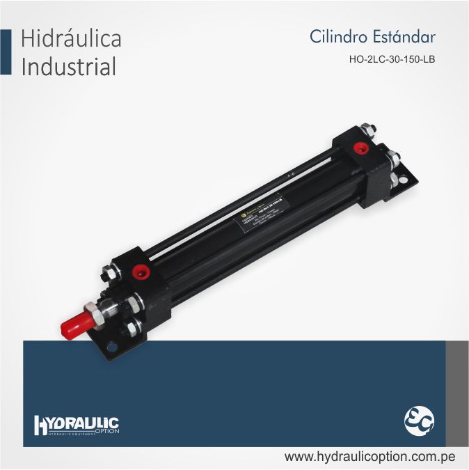 CILINDRO-ESTANDAR-HO-2LC-30-100-LB